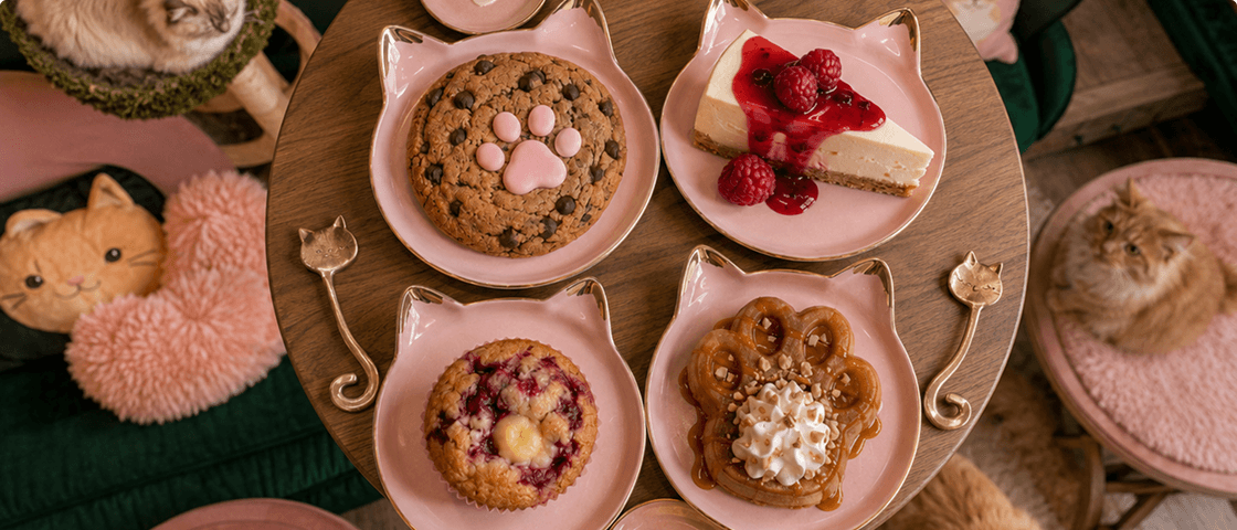 Les Griffes Sucrées 🧁